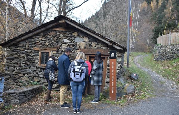ordino_6