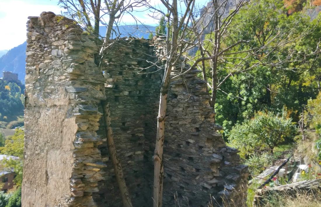 L’arbre que neix a l’interior del colomer i que surt per la porta pressiona sobre el mur i posa en risc la integritat de l’estructura. A dintre de colomer hi creixen dos arbres més. Avui només queda un mur sencer; Canturri encara en va documentar dos, i un tercer quasi íntegre.