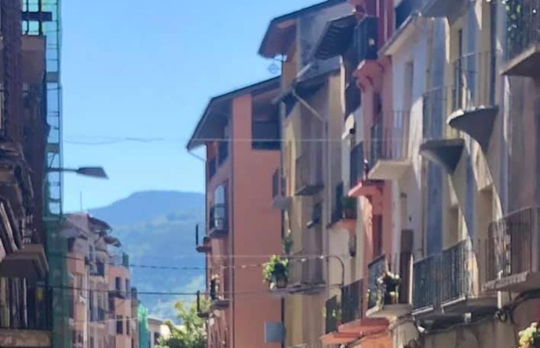 L’afluència de gent als carrers de la Seu en la passada Fira de Sant Ermengol va ser l’espurna que originaria la idea. 