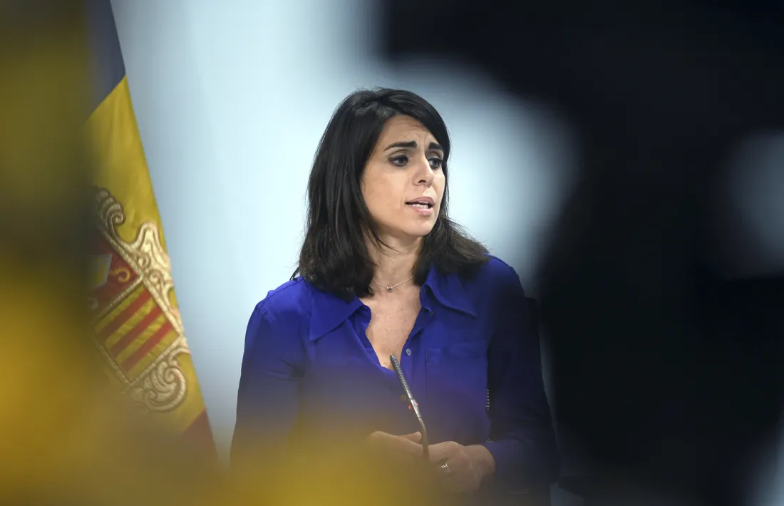 La secretària d’Estat d’Afers Socials, Teresa Milà, en la compareixença d’aquesta tarda.