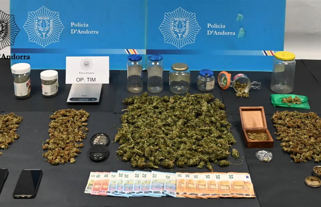 La marihuana i els diners comissats per la policia aquest diumenge.
