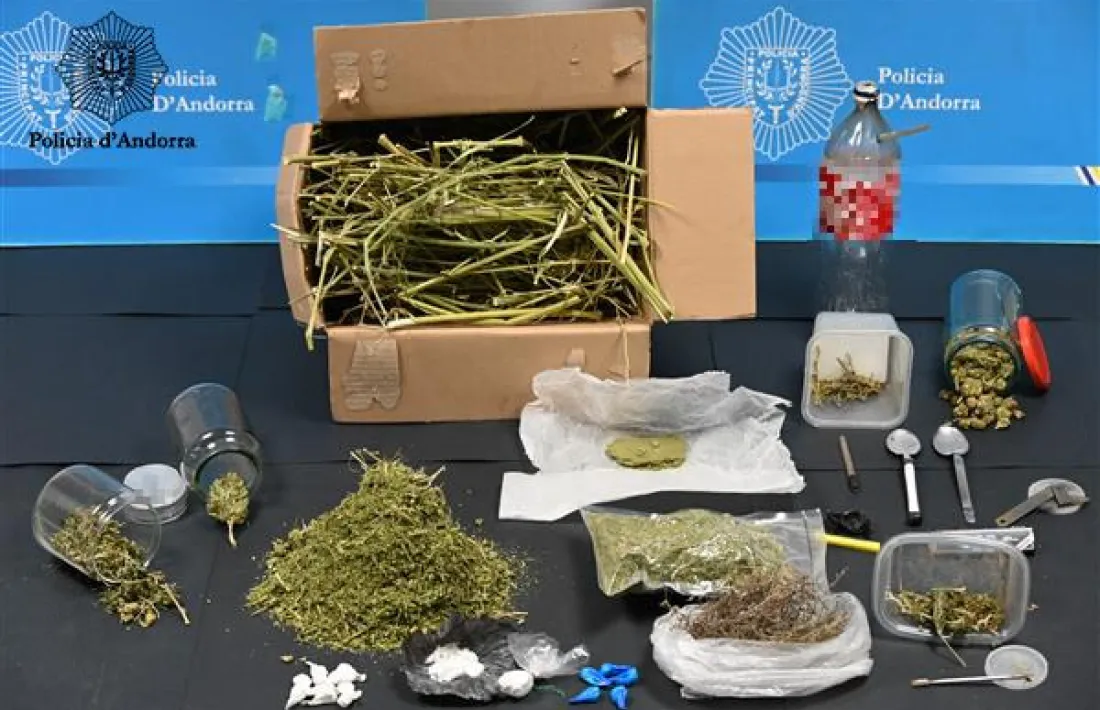 Els productes estupefaents comissats per la policia en l’operació Bronx.