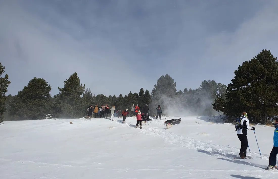 Les excursions en raquetes han estat una de les activitats disponibles.