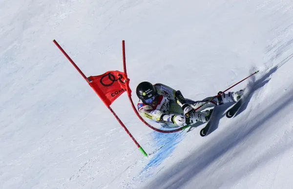 p._37_joan_verdu_verdu_cortina_francis_bompard_01