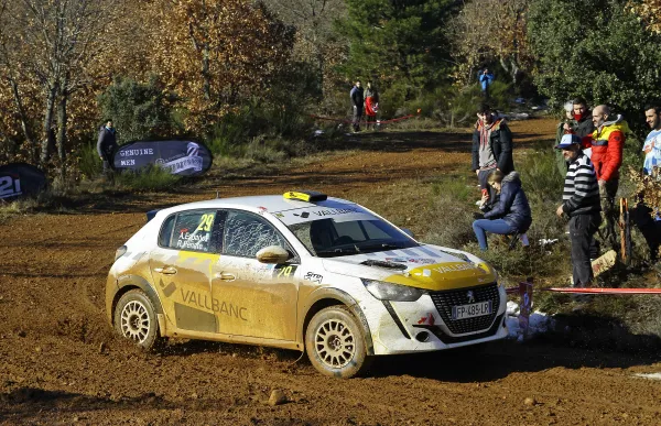 p._29_29sitoleonchs9427