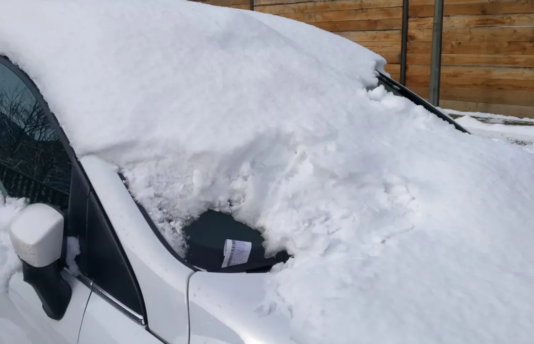 Un dels cotxes estacionats al carrer Bonavista que va ser sancionat divendres.