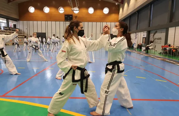 p._29_taekwondo