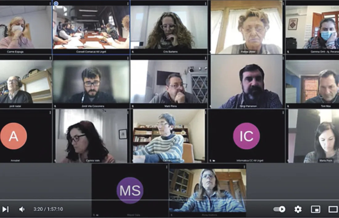 La situació pandèmica va obligar també en aquest cas a traslladar a l’àmbit telemàtic la sessió. 