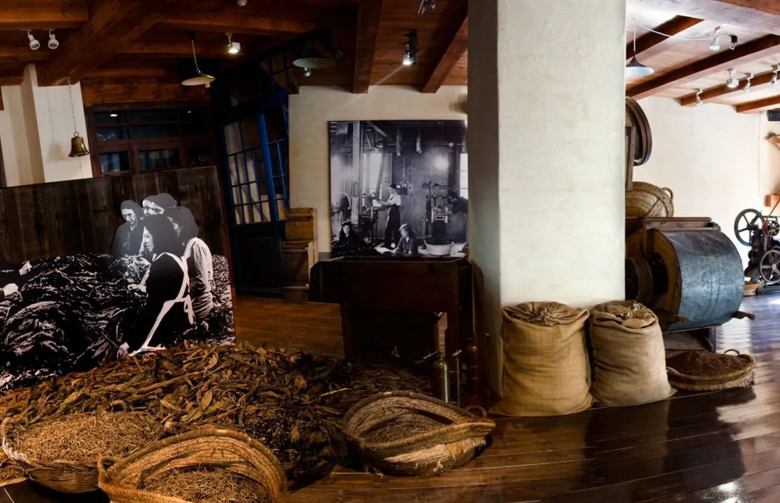 Instal·lacions de l'equipament lauredià. 