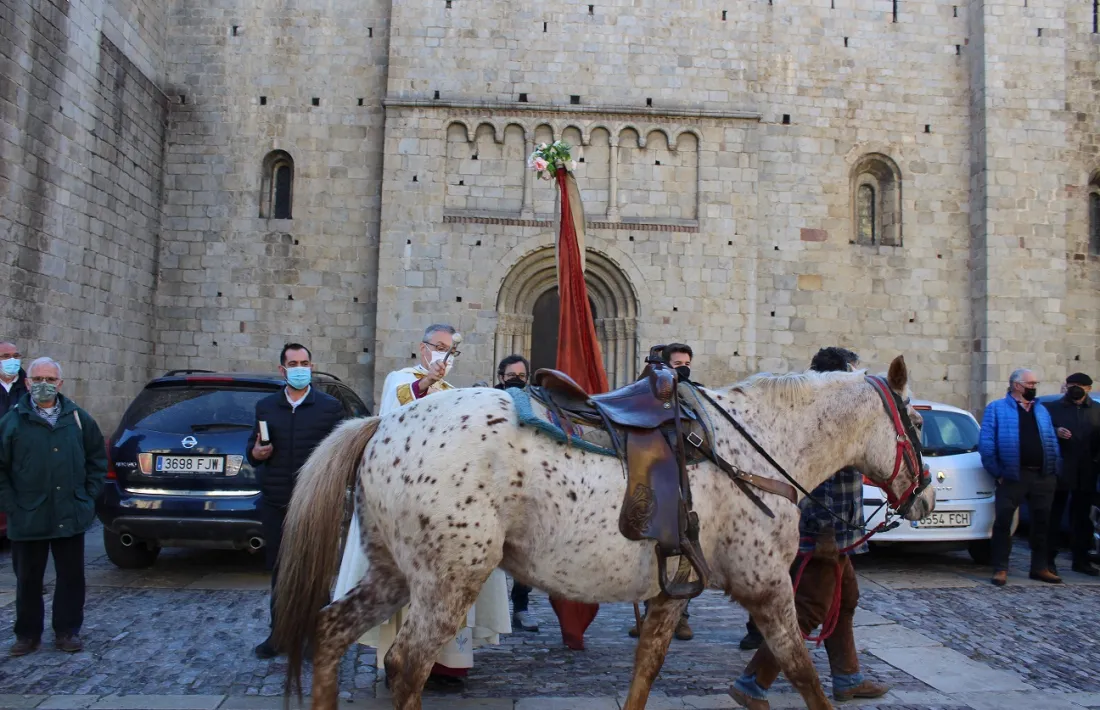 Sí s'ha pogut celebrar la tradicional benedicció d'animals. 