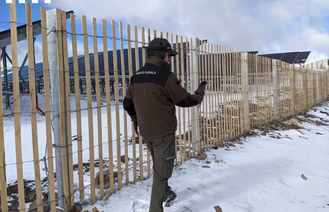 Agents rurals inspeccionen la zona del Planell de la Tosa en conflicte.