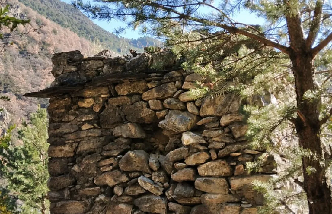 Les lloses per potegir els coloms dels depredadors encara es distingeixen perfectament als murs del colomer.