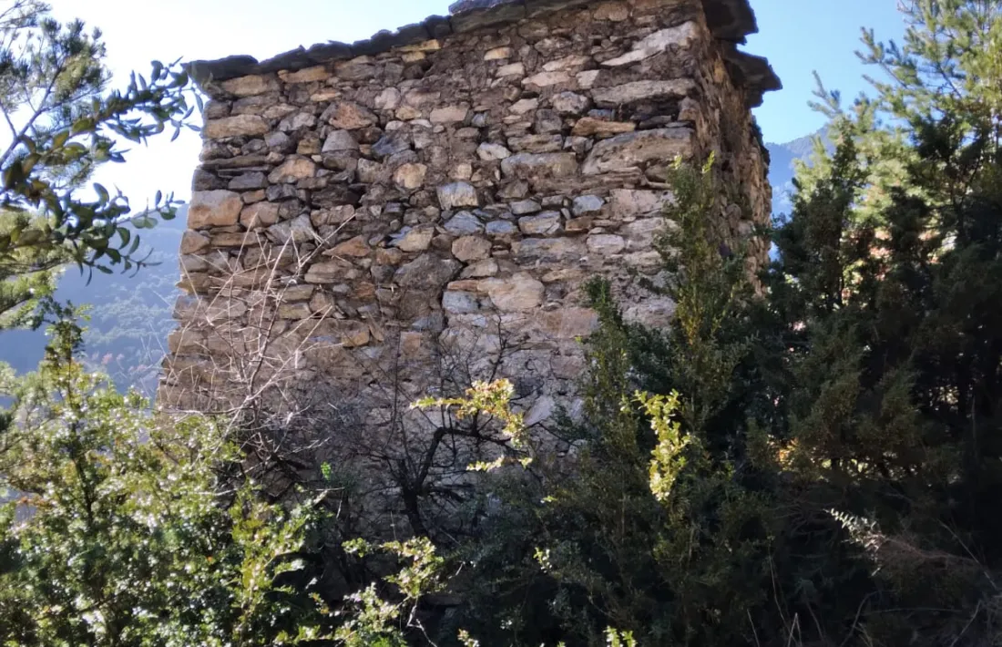 Les lloses per potegir els coloms dels depredadors encara es distingeixen perfectament als murs del colomer.