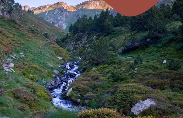 dia_mundial_molleres