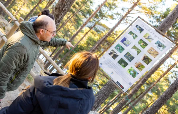 51867482318_af971e96f9_o