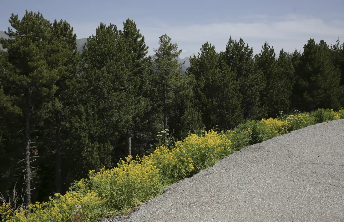 El pla de la Caubella on es preveu construir l’heliport nacional.