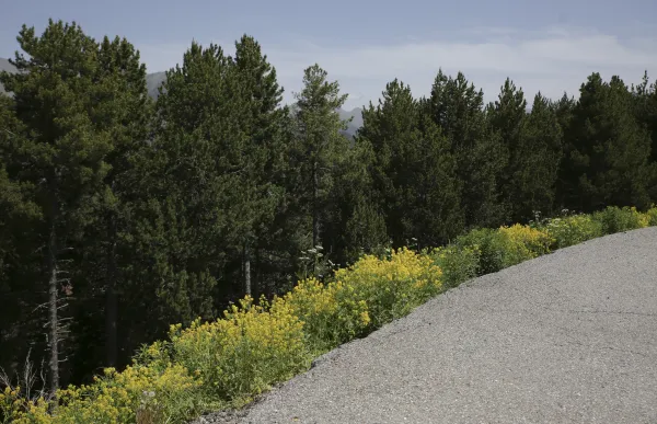 pla_caubella_heliport_facu