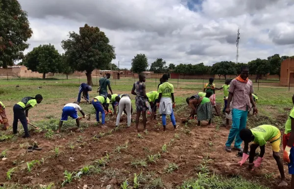 p._11_hort_mans_unides