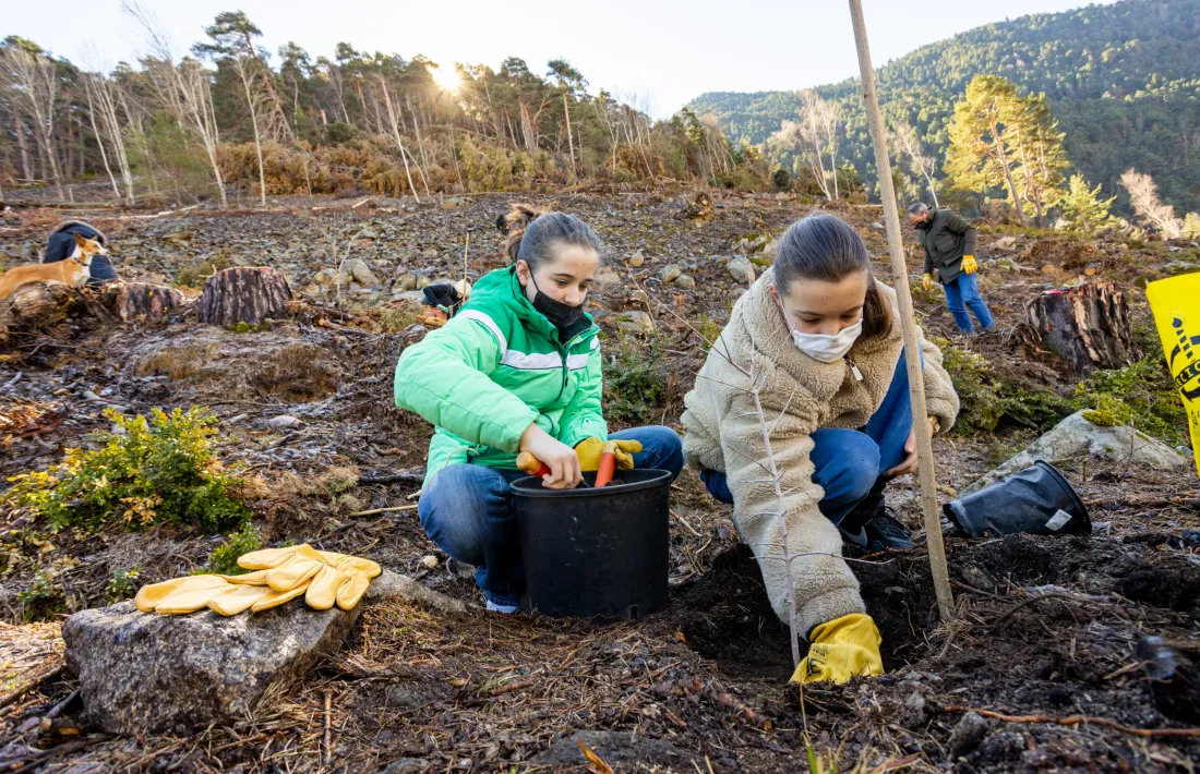 Infants participant en la plantació d’arbres a la Plana.