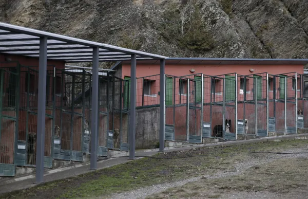 p._07_gossera_-_facundo_santana