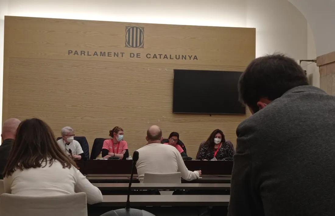 Les treballadores familiars han protagonitzat protestes arreu de l’Estat i, a Catalunya, han expressat les seves inquietuds en fòrums com el Parlament. 