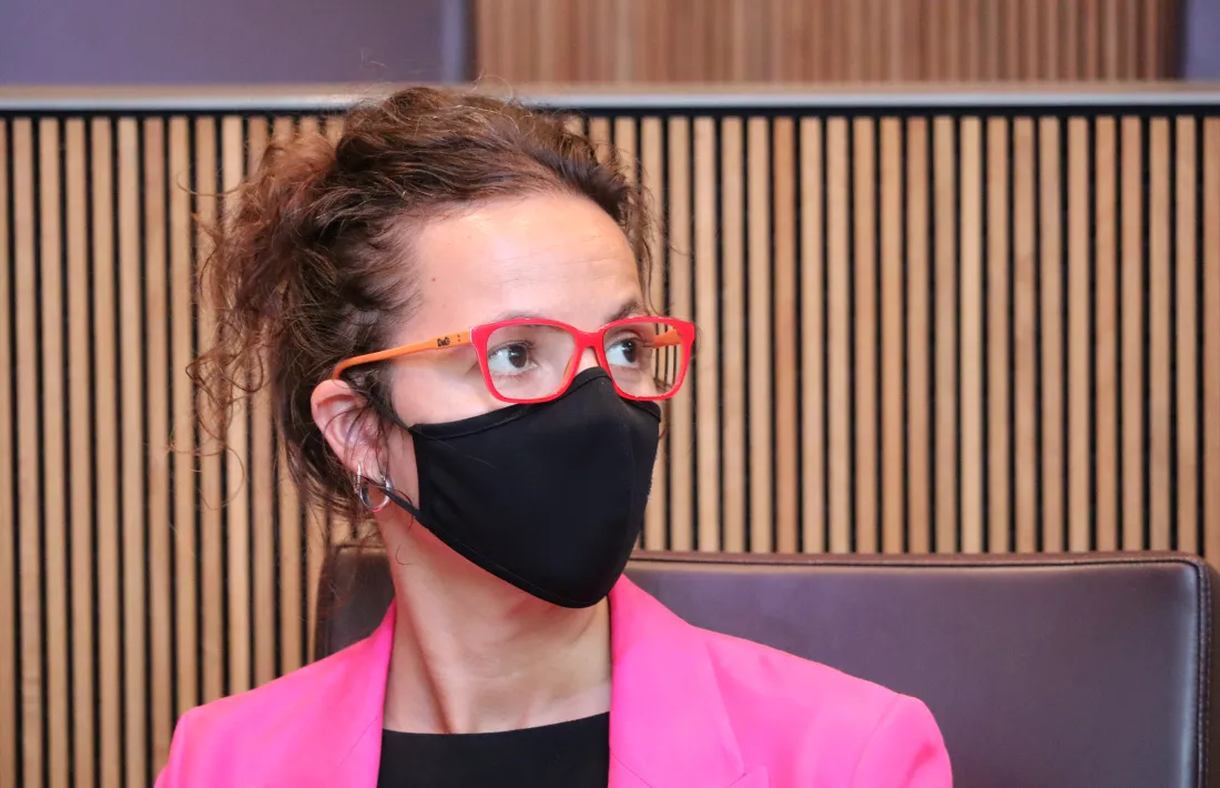 La presidenta suplent del grup parlamentari socialdemòcrata, Judith Salazar.