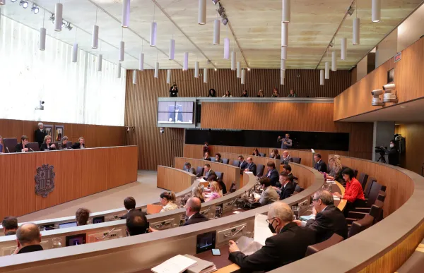 p._06_1._consell_genral