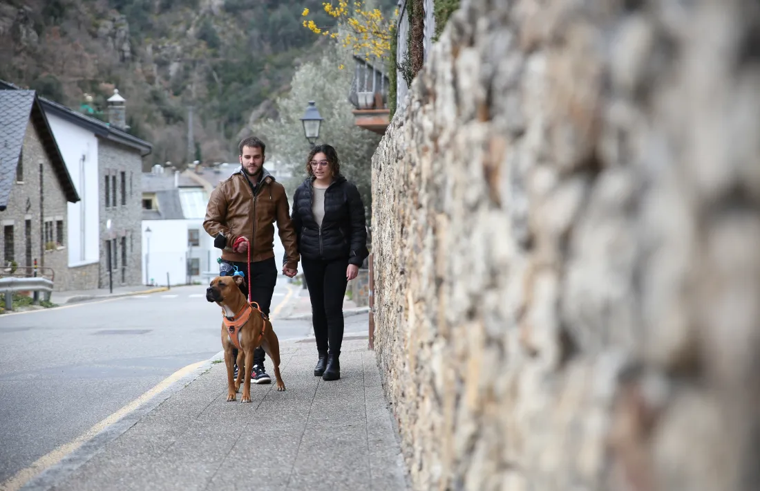 Dos voluntaris de l’associació Nami passegen el gos Simba que tenen de casa d’acollida.