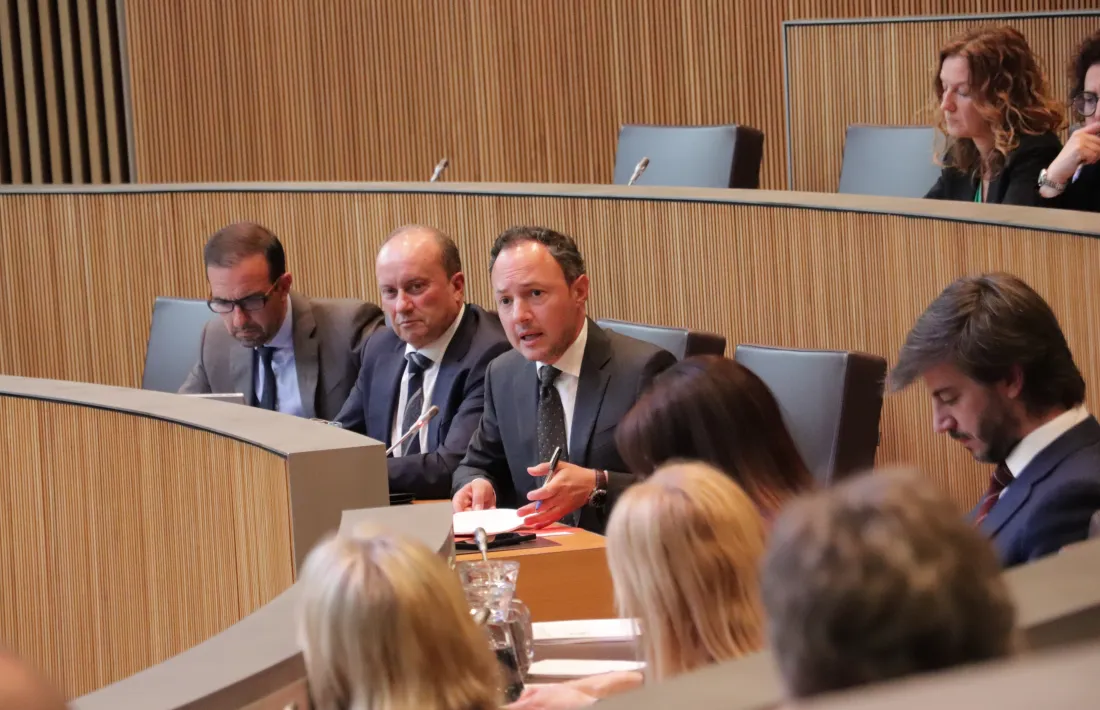 El cap de Govern, Xavier Espot, durant la seva intervenció, ahir al Consell General.