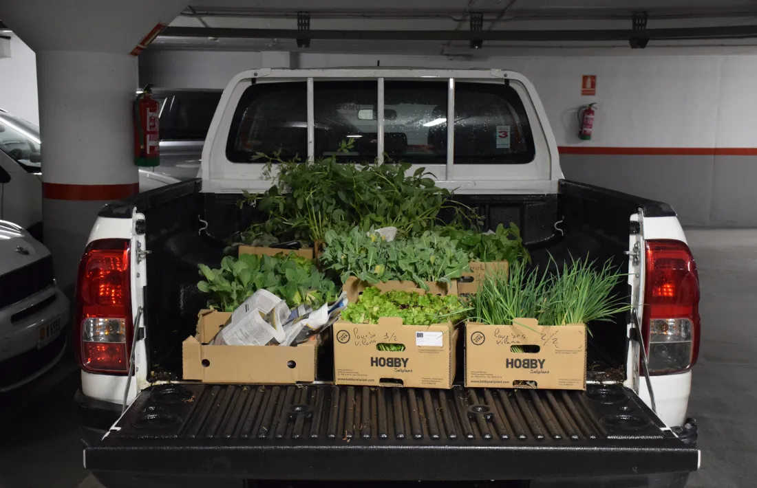 Part del planter pel projecte solidari de Sant Julià de Lòria.