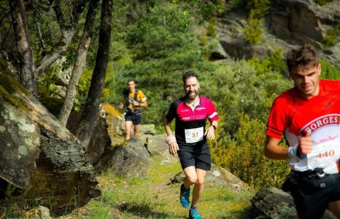 Imatge de la passada edició. 