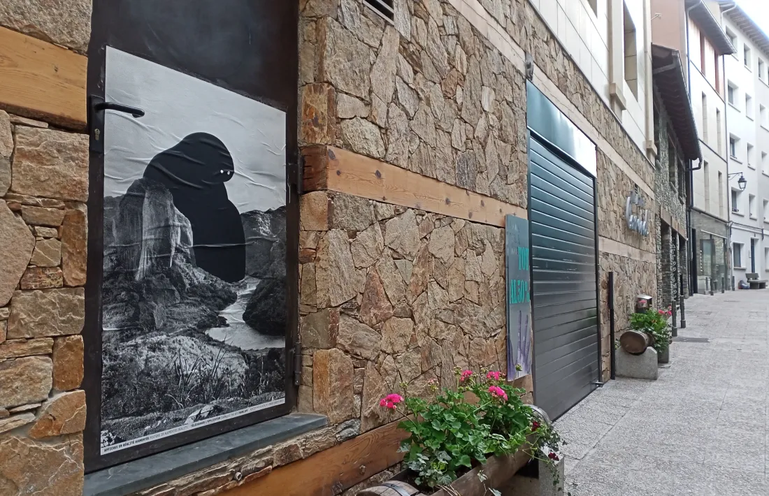 Els cartells de la instal·lació ‘Faune’ han començat a proliferar aquest cap de setmana pel centre històric de la capital.