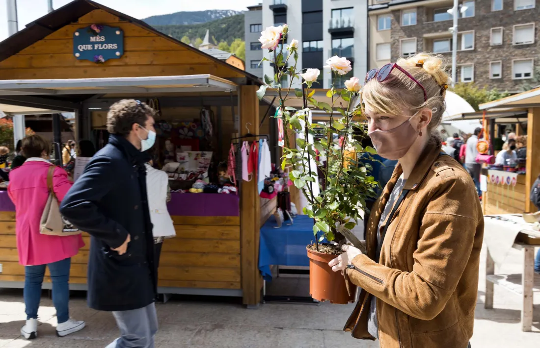 Les Fontetes serà com l’edició passada l’epicentre d’Andoflora.