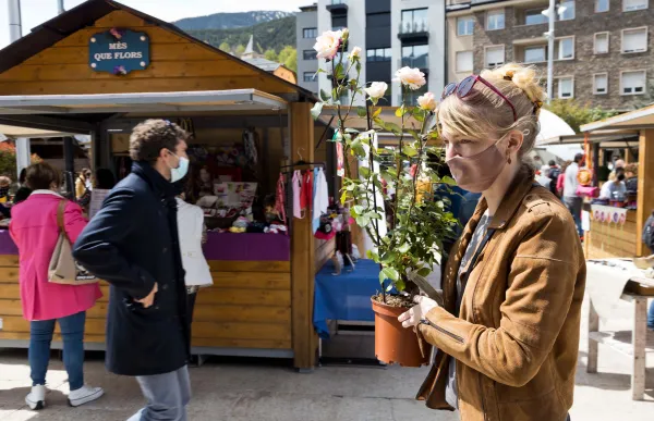 p._13_andoflora_-_eduard_comellas