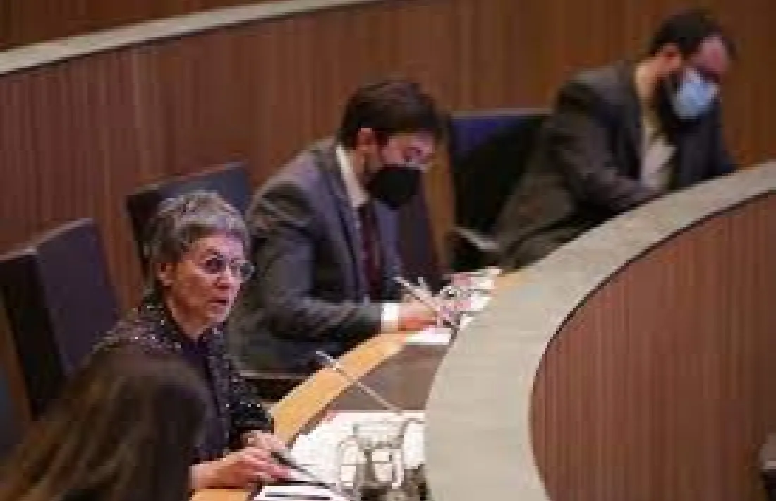 Vela i Padreny, al Consell General. 