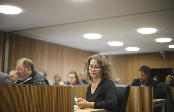 p._04_comissio_consell_general_-_facundo_santana