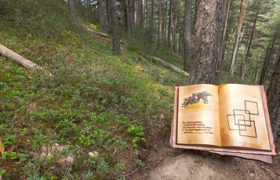 El fil conductor de la ruta és descobrir la poció màgica de la felicitat.