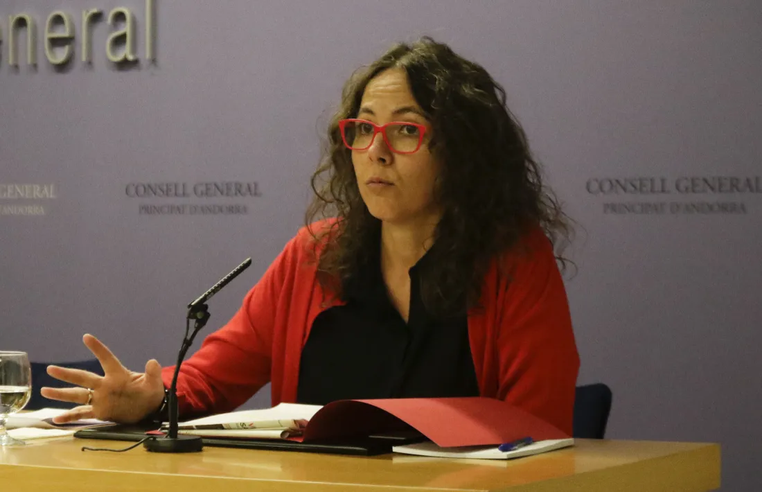 La presidenta suplent del PS, Judith Salazar.