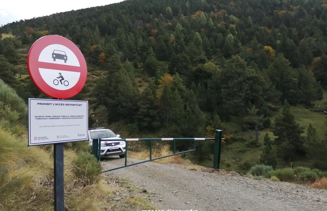 Control dels mosos a Santa Magdalena. 