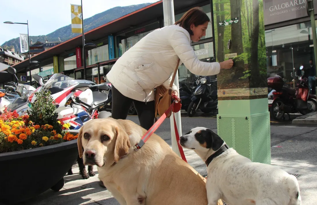 Una dona amb dos gossos en una imatge d'arxiu.