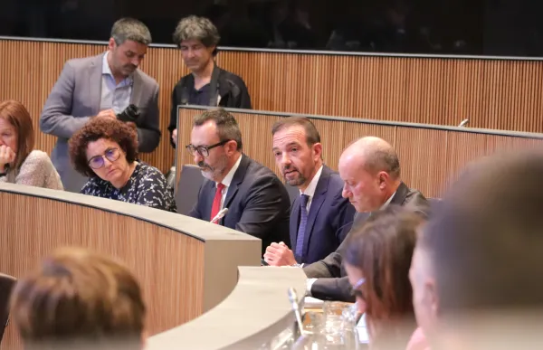 p._07_1_govern_consell_general