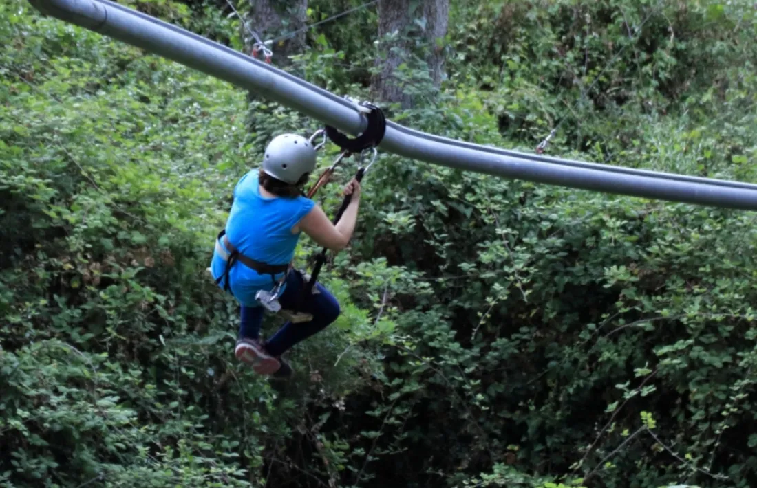 Imatge de com serà la nova activitat Forest Line.