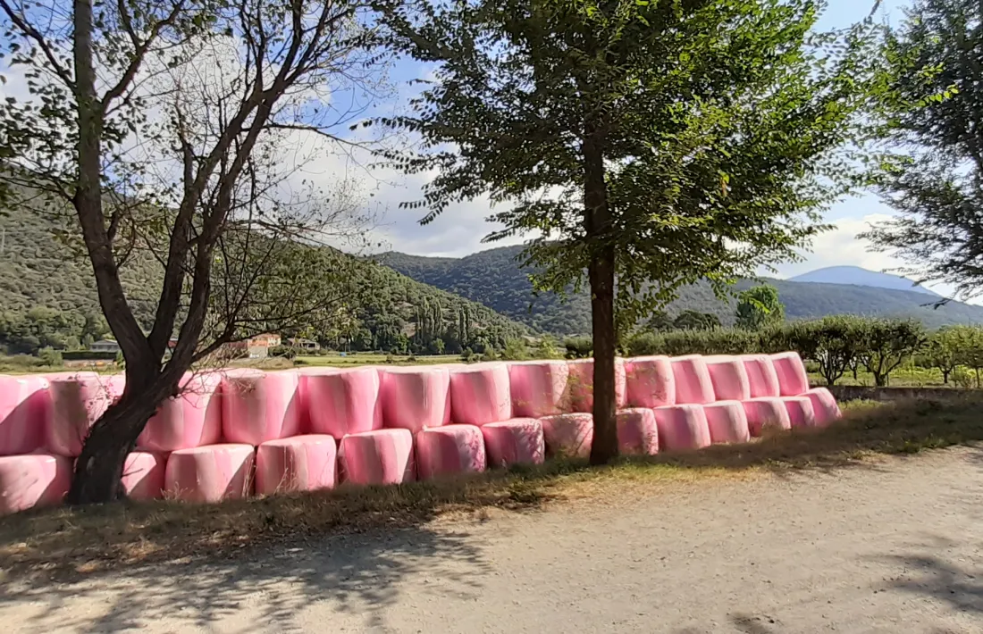 El text contempla legislació que reculli les singularitats del món rural. 