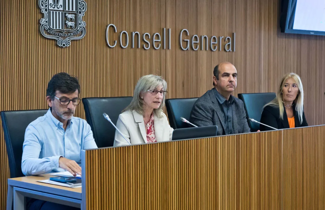 Montserrat Capdevila i Jordi Cinca durant la compareixença davant les comissions de Finances i Pressupost i de Sanitat.