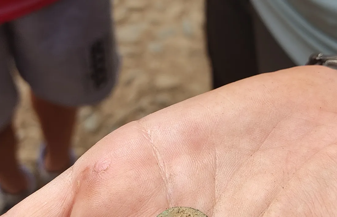 La moneda trobada durant la visita escolar, sense datar encara. 