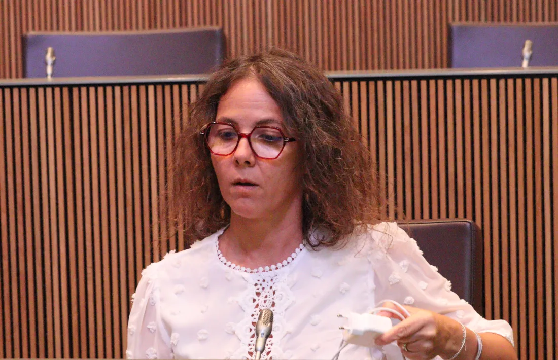 La consellera general socialdemòcrata, Judith Salazar.