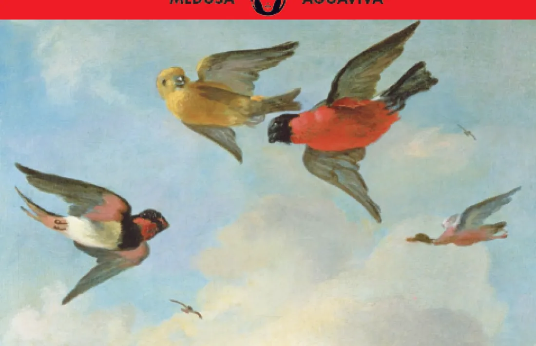 Vizcaya ha publicat fins ara una trilogia poètica (NEO/GN/SYS).