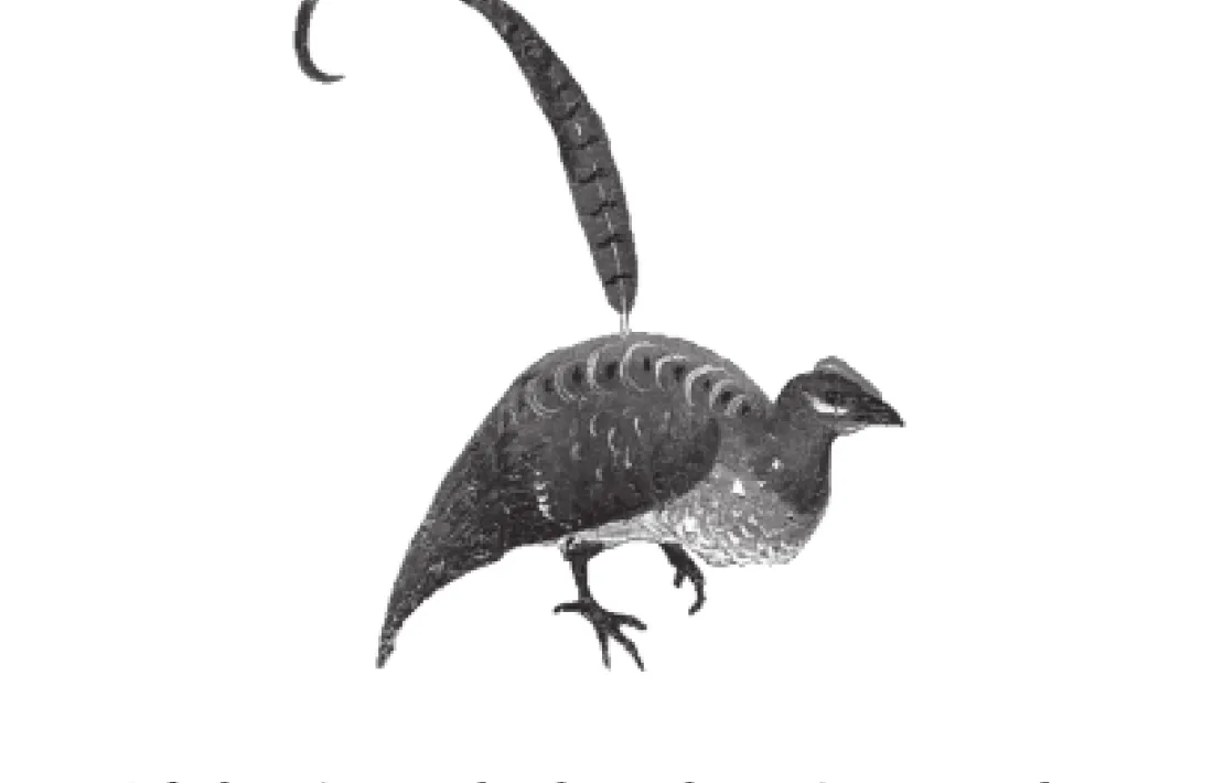 Colofó prototípic de Medusa, el ‘Les ànimes sordes’, amb lloc d’impressió, data i nombre d’exemplars, així com el característic gravat –aquest, extret de ‘El jardí de les delícies’.