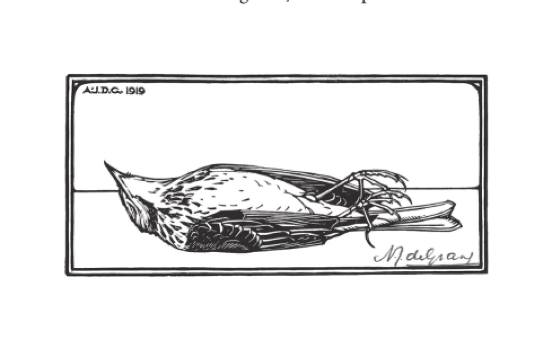 El metacolofó amb què acaba ‘Tractat d’anatomia’, d’Òscar Palazón, que Medusa publicarà al setembre.