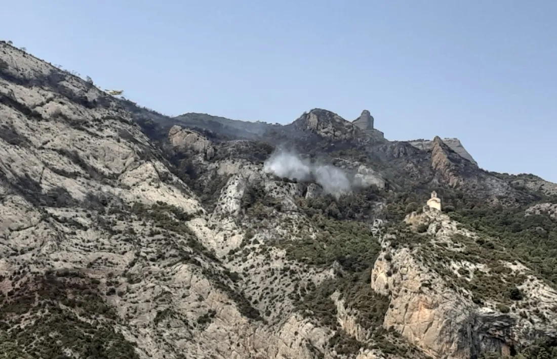 Imatge de les restes del foc, cap a Castell-llebre, aquest matí.